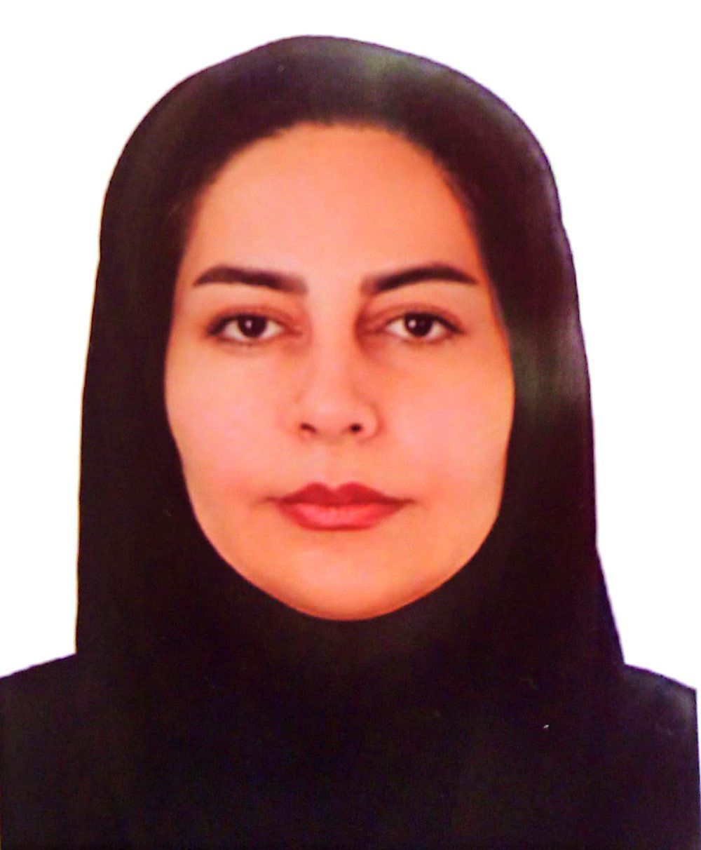 دبیر تاریخ و کار و فناوری